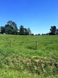 Scenic view of green landscape against clear blue sky