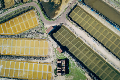 High angle view of agricultural field