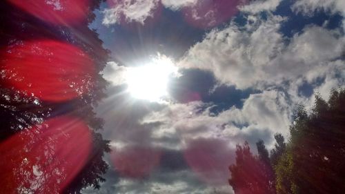 Low angle view of trees against cloudy sky