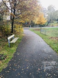 Road amidst trees during autumn