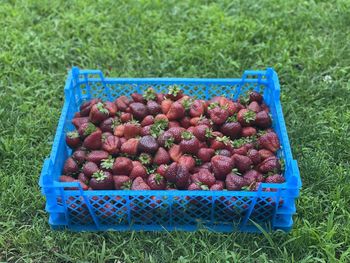 High angle view of food in basket