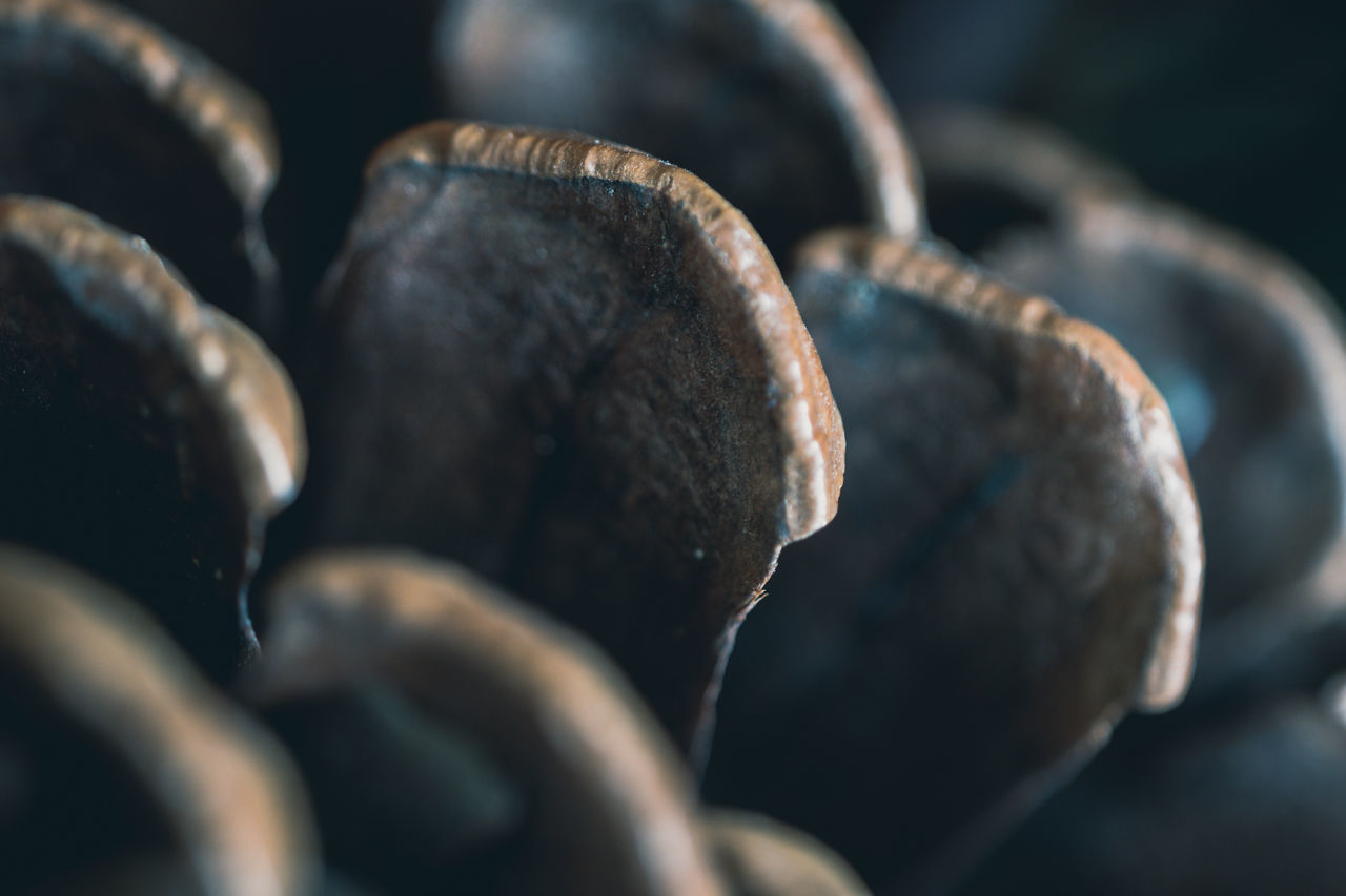 CLOSE-UP OF OLD RUSTY METAL ON TABLE