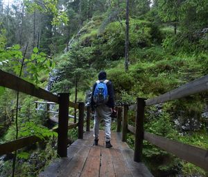 Rear view of teenage boy standing on footbridge in forest