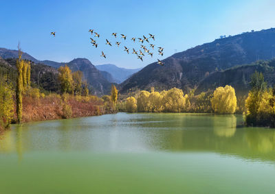 nature