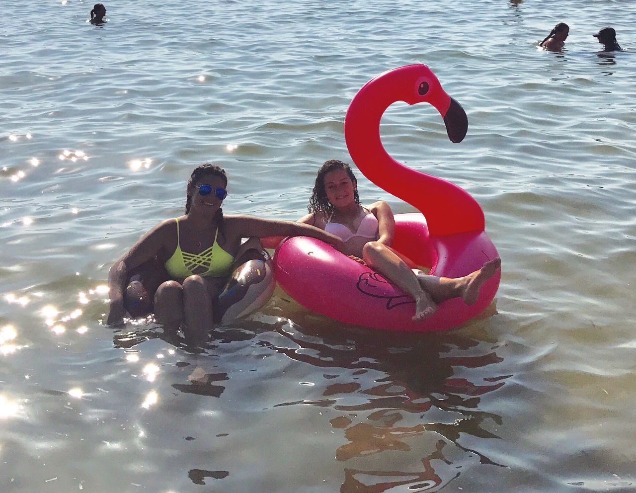 water, real people, togetherness, leisure activity, day, sitting, fun, two people, lifestyles, outdoors, young women, women, nature, swan, young adult