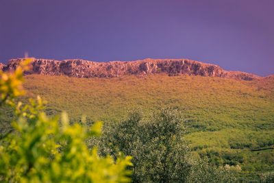 Scenic view of mountain against clear sky