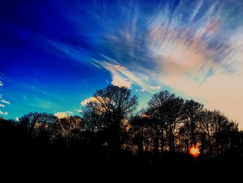 Low angle view of silhouette trees against sky at sunset