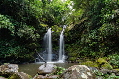 Scenic view of waterfall in forest