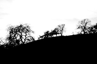 Low angle view of silhouette trees against sky