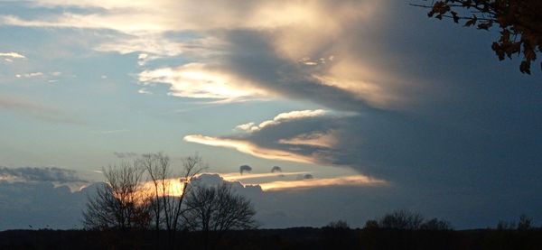 Low angle view of silhouette trees against sky during sunset