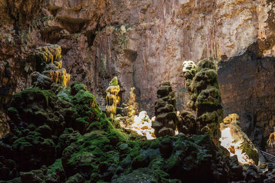 View of buddha statue in cave