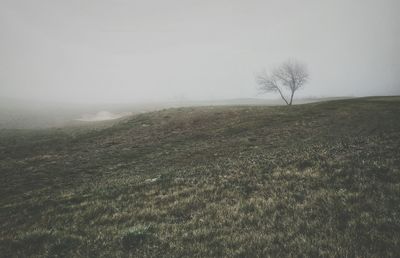 Scenic view of landscape against sky during foggy weather