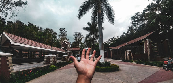 Cropped image of person by plants against sky