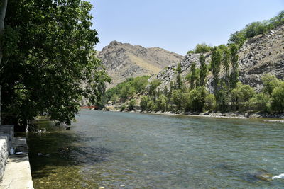 Scenic view of river amidst trees against clear sky