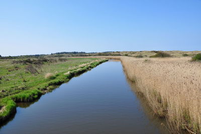 Scenic view of field against clear blue sky