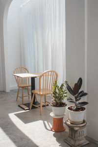 Potted plant on table against window at home