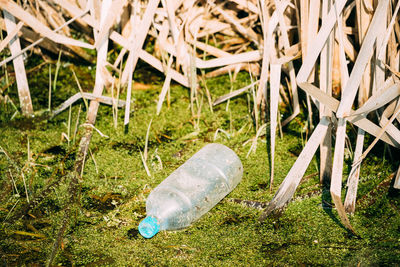 Close-up of garbage bottle on grass