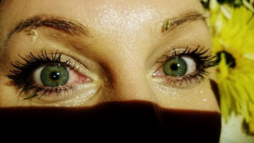 Close-up portrait of woman eye
