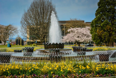 Scenic view of water fountain against sky