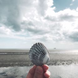 Close-up of hand holding sand at beach against sky