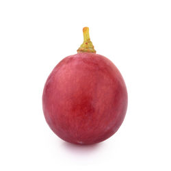 Close-up of apple against white background