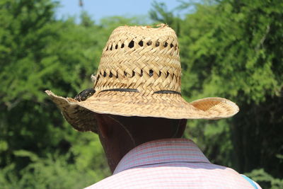 Rear view of person against trees