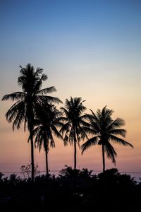 Silhouette palm trees against clear sky
