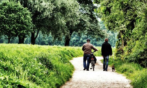 Rear view of man walking on footpath