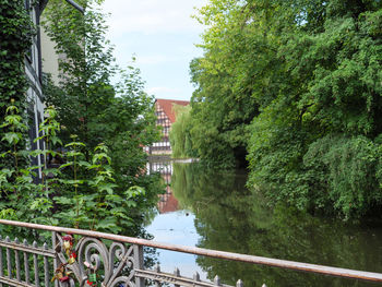 Bridge over river amidst trees against sky