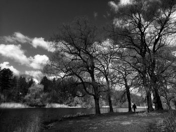 Trees on landscape against cloudy sky