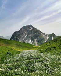 Scenic view of landscape against sky