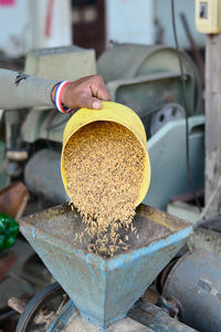 Cropped hand of man pouring grains in machinery at factory