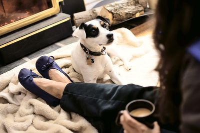 Midsection of woman with dog sitting at home