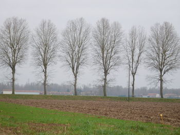 Trees on field against clear sky