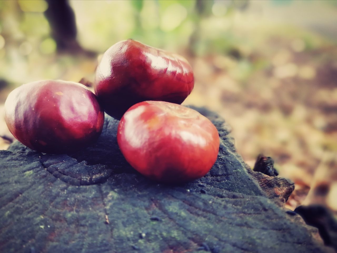 CLOSE-UP OF APPLES ON TABLE