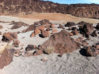 natural environment