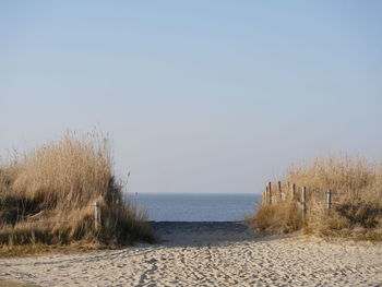 Scenic view of sea against clear sky