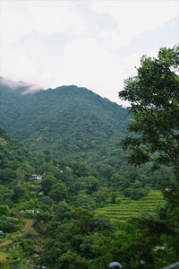 Scenic view of mountains