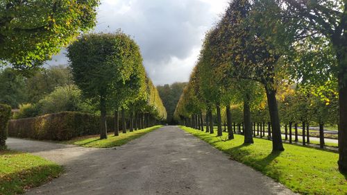 Road amidst trees in park against sky