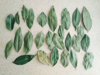 Directly above shot of leaves arranged on marble counter