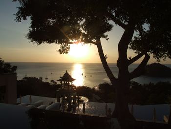 Silhouette trees by swimming pool against sky during sunset