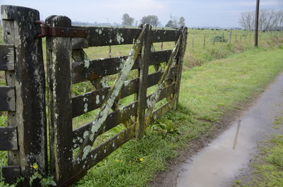 Close-up of agricultural field