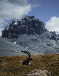 Scenic view of snowcapped mountain against sky
