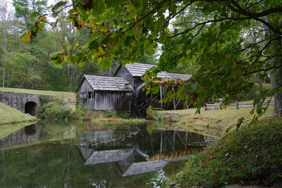 Plants and trees by lake against house in forest