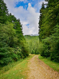 Road amidst trees against sky