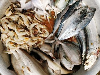 Close-up of fish for sale in market