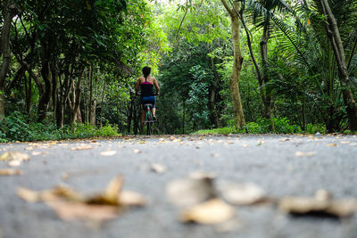 Rear view of man riding bicycle in forest