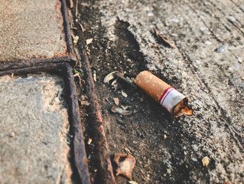 High angle view of cigarette smoking on ground