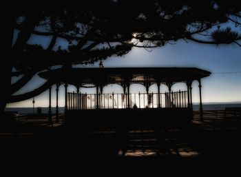 Silhouette of trees on beach during sunset