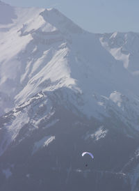 Paragliding above the resort of alpe d'huez in the middle of the snowy mountains in oisans in france